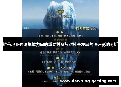 维蒂尼亚强调集体力量的重要性及其对社会发展的深远影响分析