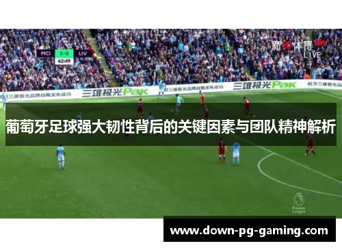 葡萄牙足球强大韧性背后的关键因素与团队精神解析