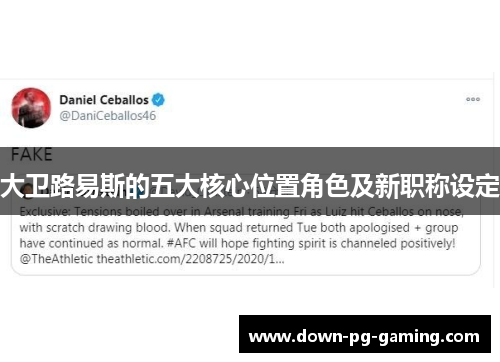 大卫路易斯的五大核心位置角色及新职称设定