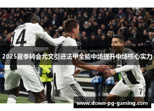 2025夏季转会尤文引进法甲全能中场提升中场核心实力